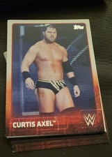 2015 Topps WWE - Michael Mcgillicutty #19