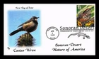 DR JIM STAMPS US COVER SONORAN DESERT CACTUS WREN FIRST DAY ISSUE