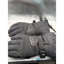L.L.Bean GORE-TEX Primaloft Ski Gloves large