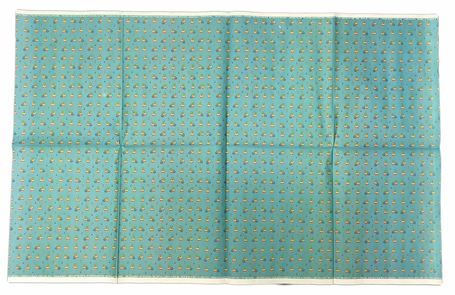 Open Road Campers Cactus Eco Friendly Reversible Folded Gift Wrap Wrapping Paper