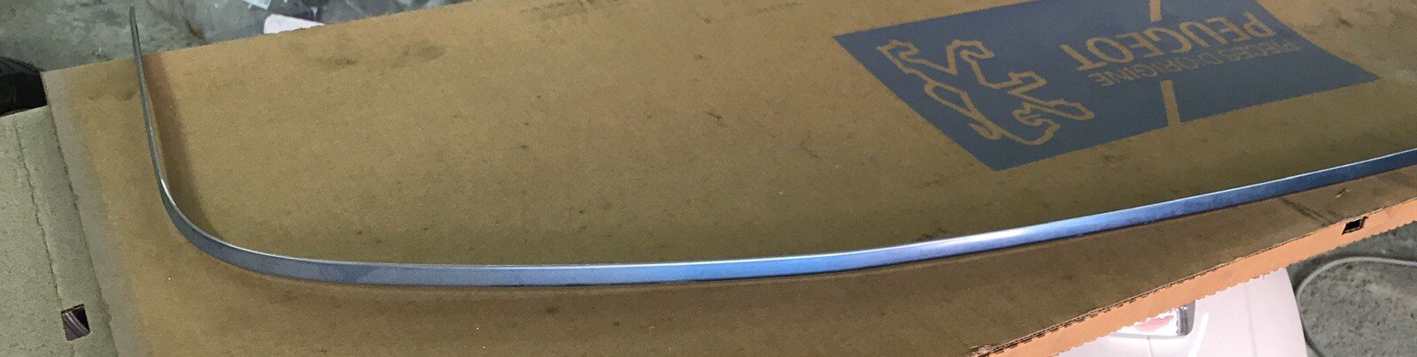 Foto 10 di 11