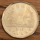 2005 Canada $1 one dollar loonie coin **75% off combined shipping**