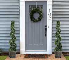 2 Packs Christmas Tree with Pot Bushy Artificial Tree Festive Home Decor 4/5/6ft