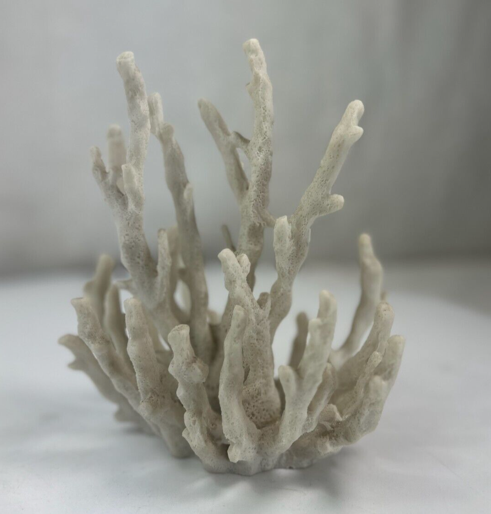 White Coral Décor - Beach Home  Coral Reef Decoration Coral Branch Decor Coral