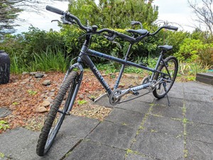 tandem bike ebay