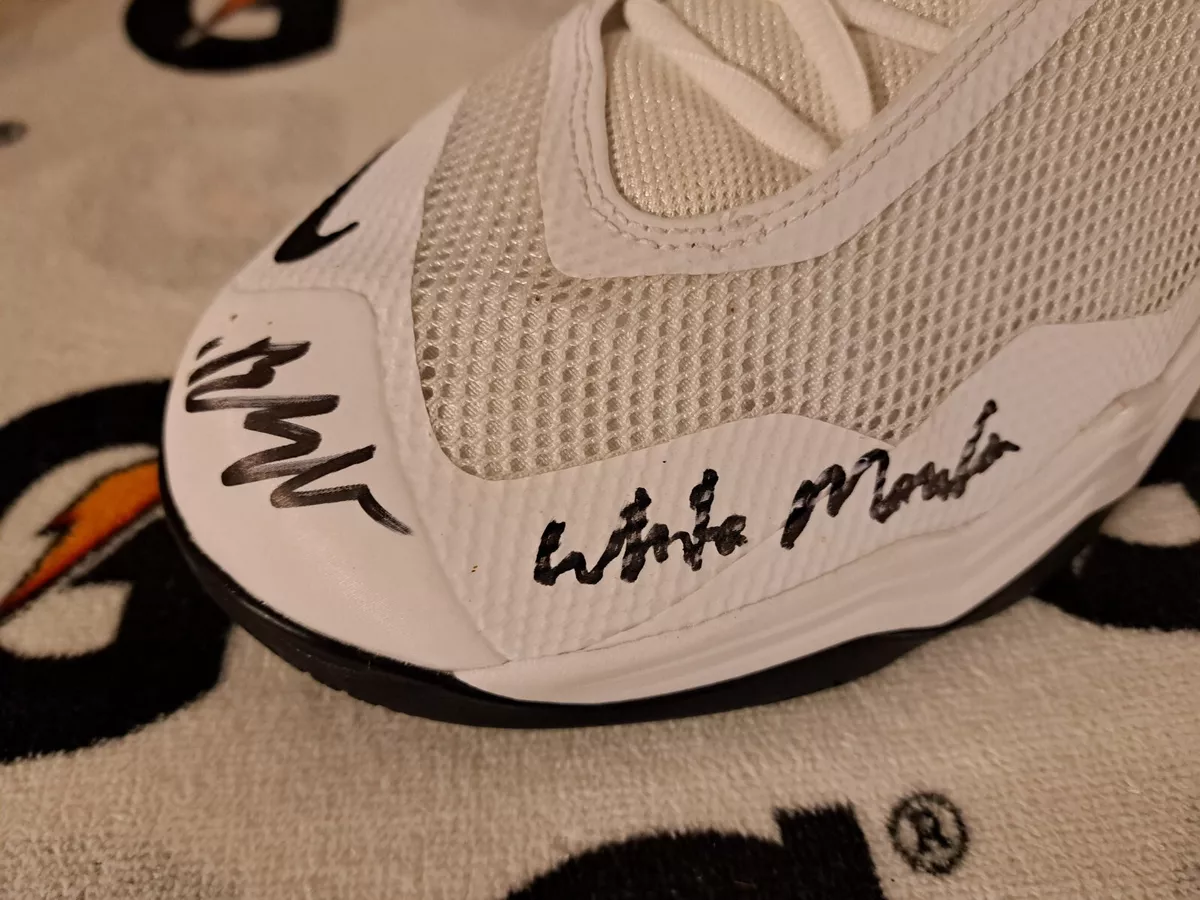 Brian scalabrine best sale shoes