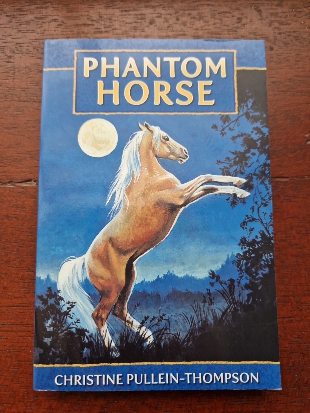 Phantom Horse by Christine Pullein-Thompson classic fiction pony horses story