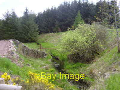 Foto 6x4 Threepbridge Wood Jeaniefield auch Threepwood genannt Br c2008