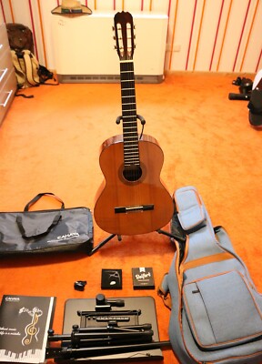 Gitarre Hohner