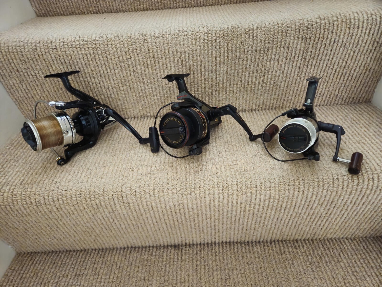 Daiwa Carp Coarse Fishing Reels eBay