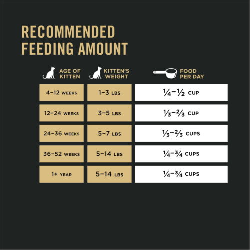 Purina Pro Plan with Probiotics, High Protein Dry Kitten Food Chicken 7 Lb. Bag - Picture 8 of 9