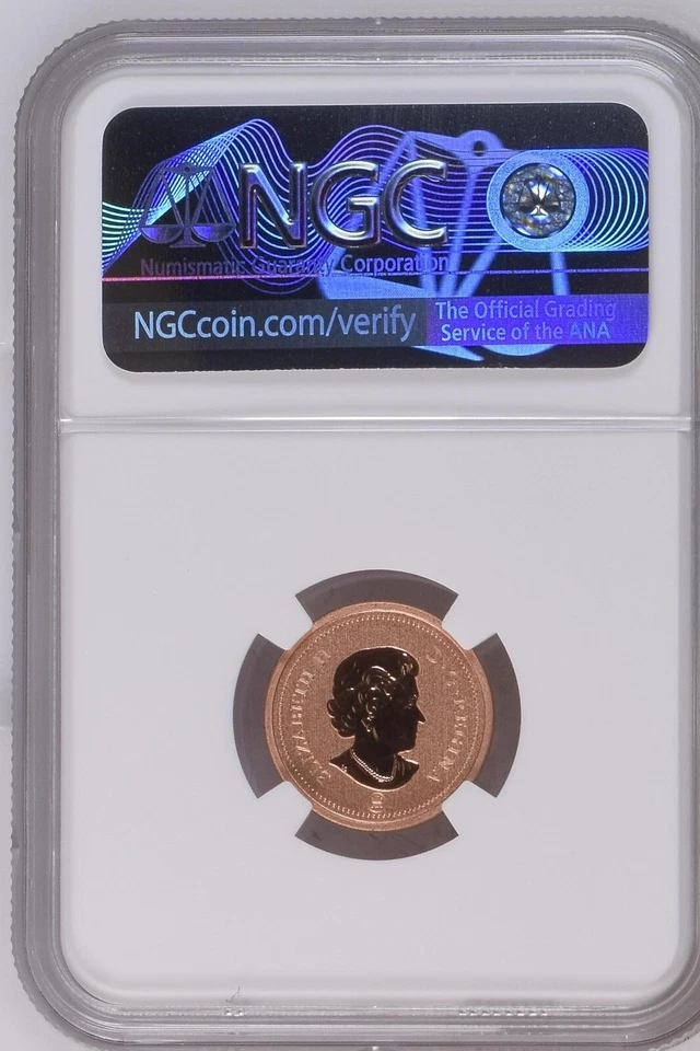 2012 Canada 1C Penny Specimen NGC SP69 RD - Image 2 of 2