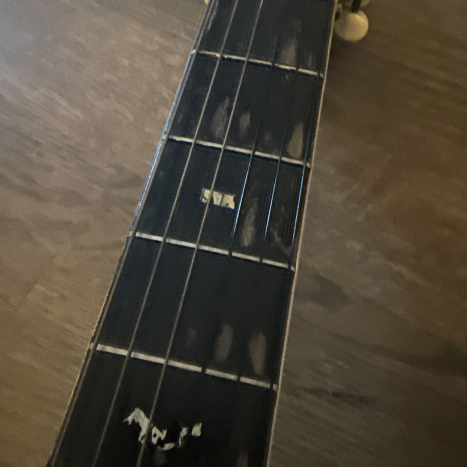 Picture 6 of 15