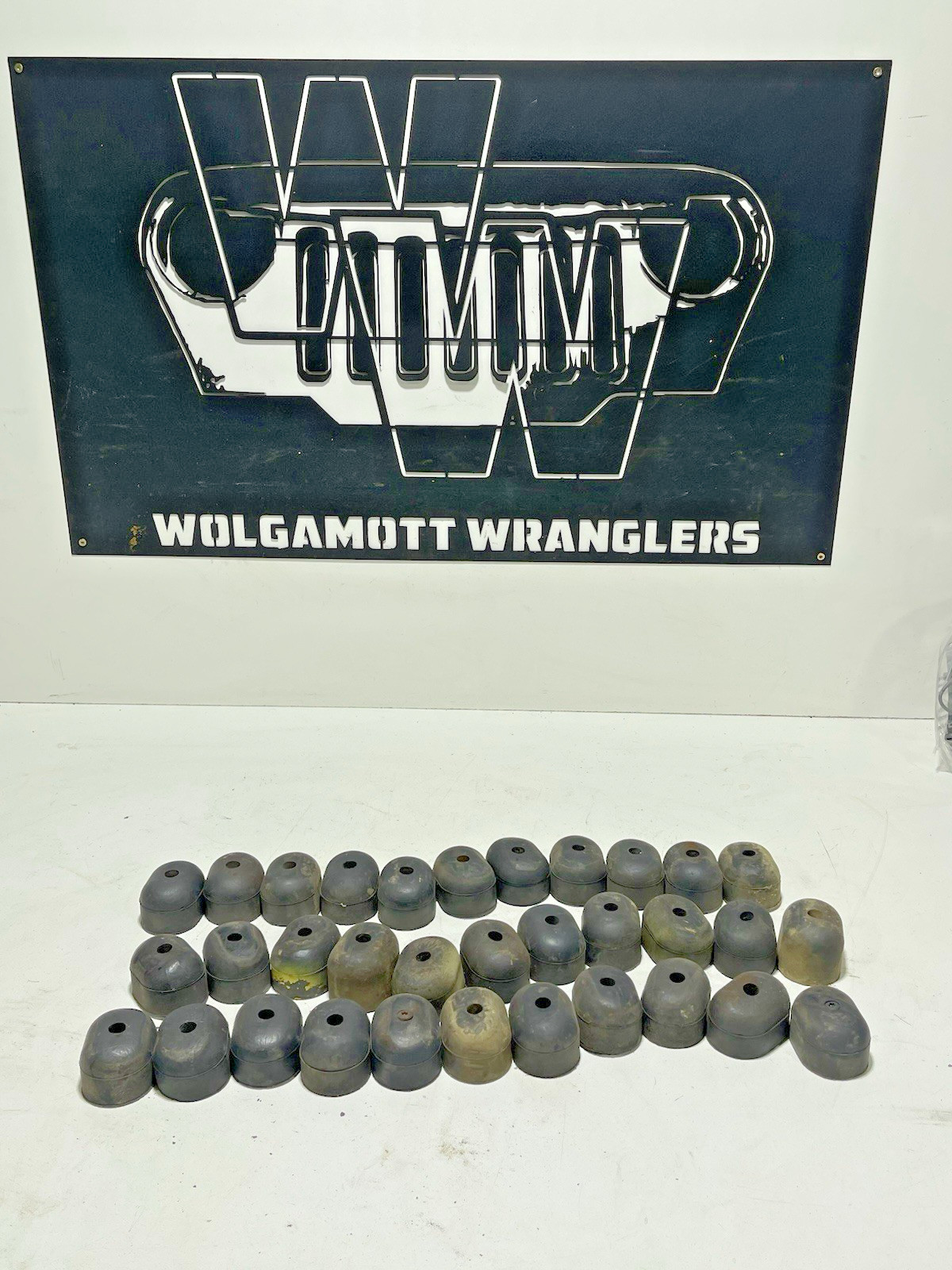 Jeep TJ Wrangler 97-06 Tailgate Rubber Bumper Bump Stop Set of 4 + BOLTS OEM 68