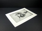 Picture 2 of 3