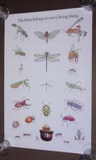 Vintage 1980s US Forest Service Smokey Bear 20x30 Insect Poster 82-CFFP-6