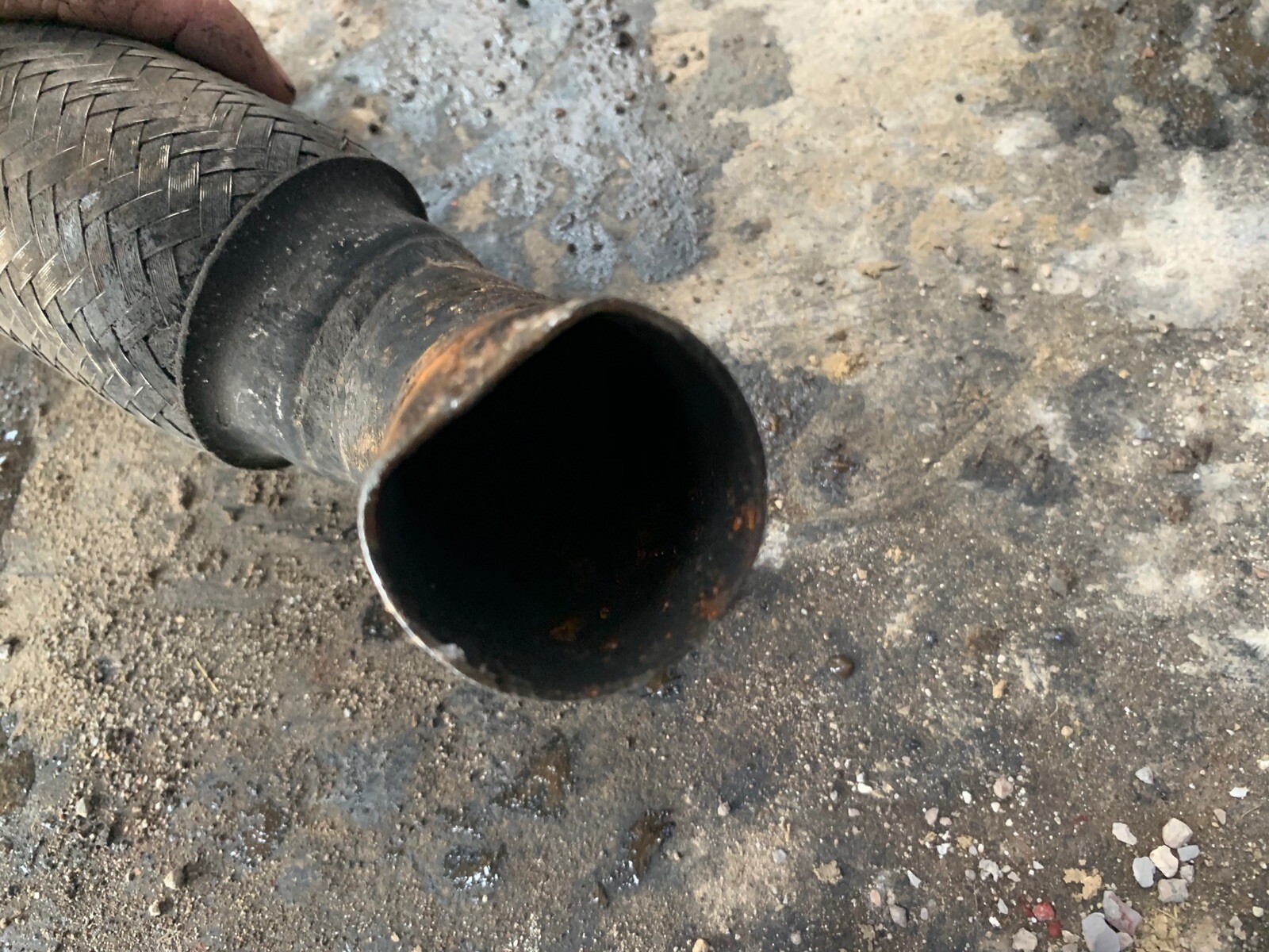 Picture 5 of 5