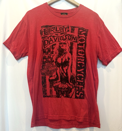 2 Harley-Davidson Shirts Mens Graphic Size L Biker New Jersey Pasadena Texas - Picture 2 of 13