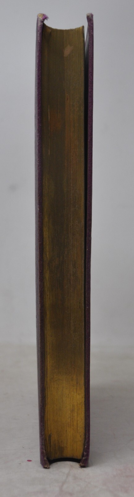 Foto 5 di 18