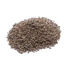 Edible Carrot Seeds Gajar K Beej Fresh Ground Indian harbs FREE SHIPPING