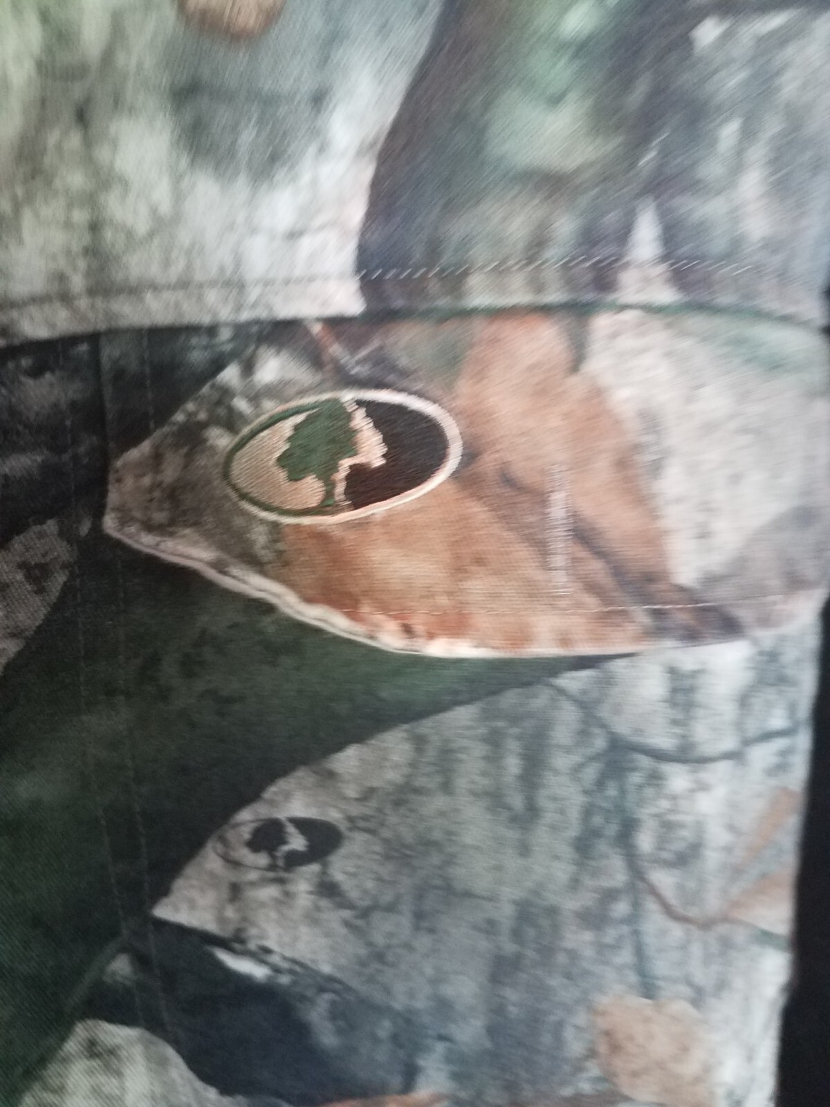 Picture 4 of 10