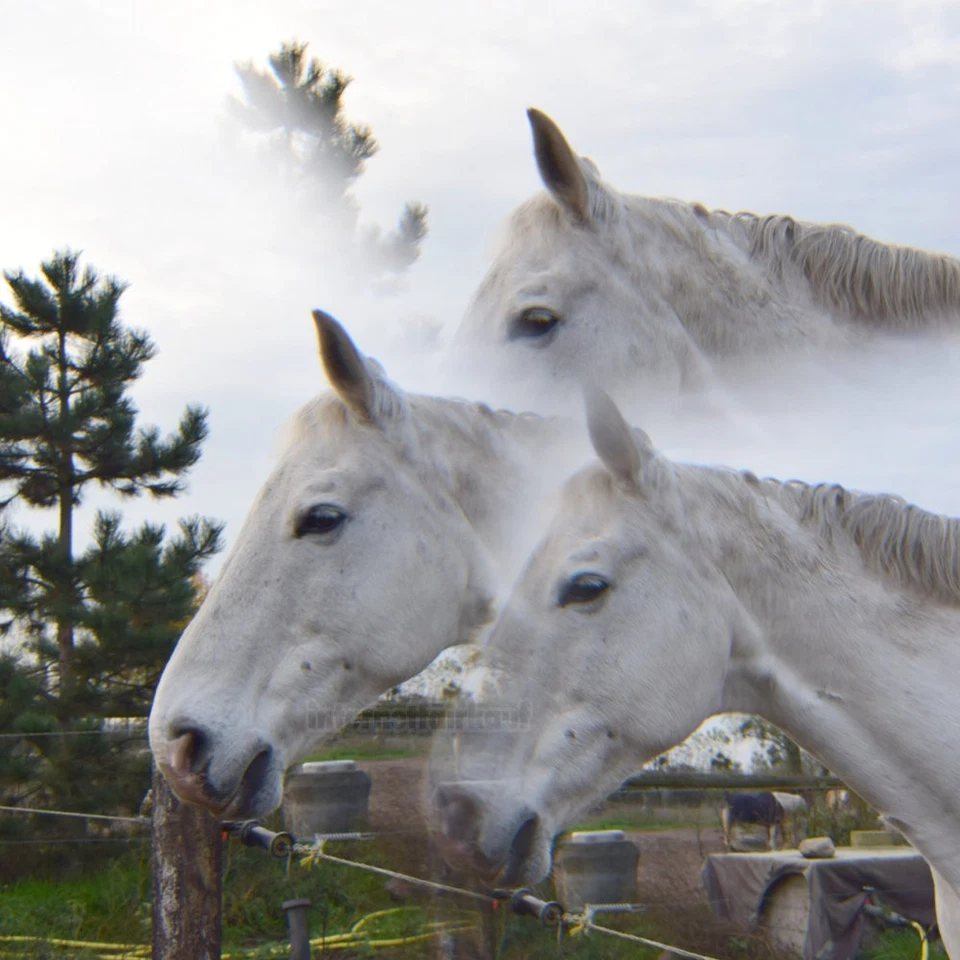 82mm 3-fach Multi Image Filter Prisma Tricklinse - 82 mm - Bild 3 von 4