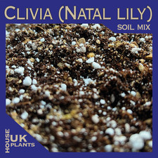 CLIVIA MINIATA Soil Mix (Pest-Free Repotting Compost for Bush/Natal Lily) 1-25L