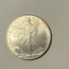 Brilliant Uncirculated 2007 Silver Eagle