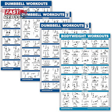 Palace Learning 4 Pack - Dumbbell Workout Posters Volume 1, 2  3  Bodyweight E