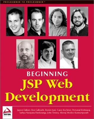 BEGINNING JSP WEB DEVELOPMENT By Jayson Falkner & John Timney **Mint Condition**