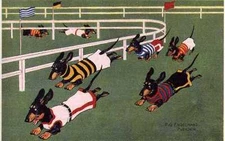 Dachshund Racing L - CUSTOM MATTED - Dog Art Print - German / NEW