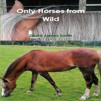 Only Horses from Wild David James Smith Paperback Lulu Press Inc.