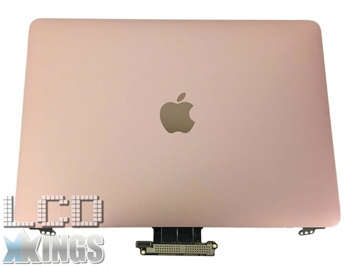 Altoparlante Per APPLE Macbook 12 Pollici A1534 EMC 3099