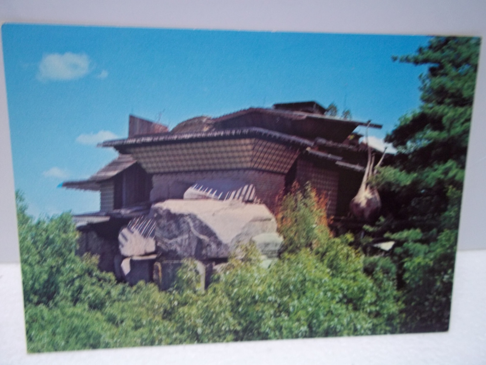 Foto 1 di 2