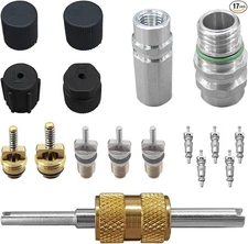 17PCS Air Conditioning Valve Core Kit, Teflon Seal Cap Valve Kit with Black
