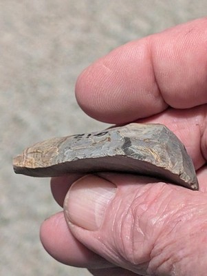 Great Limace ''Slug'' Scraper, 2''+, S Central Tennessee, Banded Flint, Authentic 