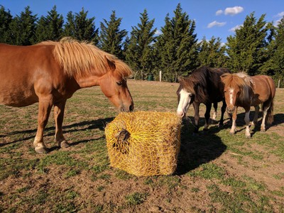large square bale hay net