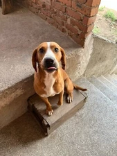 Image Picture Photo Wallpaper Background Beautiful Art # 81