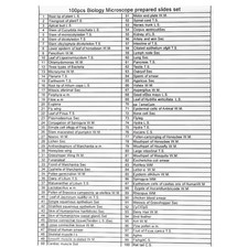 .100PCS/Set Biological Glass Sample Prepared Basic Animal Plants Tissues Science