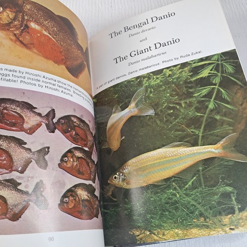 Brut Aquarium Fische Buch 4 von Dr. Herbert Axelrod 1976 Fischnachweis hart - Bild 13 von 14