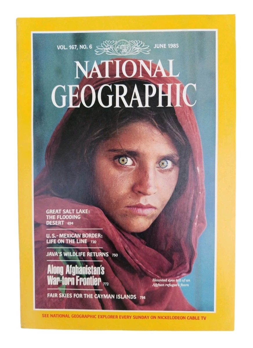 National Geographic Magazines 1980-1999 for sale | eBay