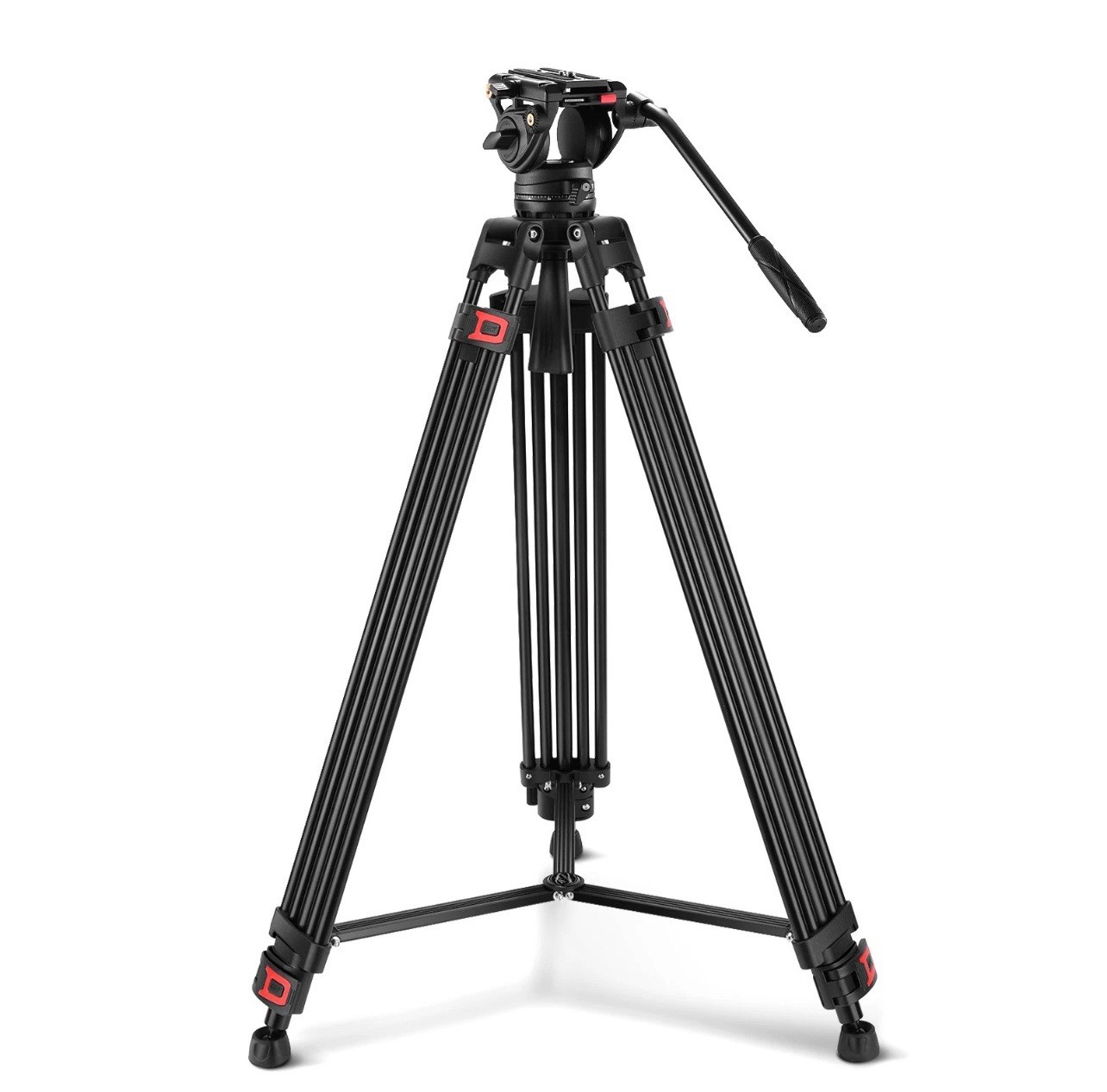 NEEWER TP74D 74" Video Tripod w/Fluid Head, QR Plate, 17.6lb Load