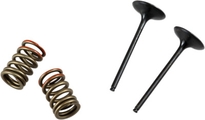 Prox Valve And Spring Kit 28Sis43412