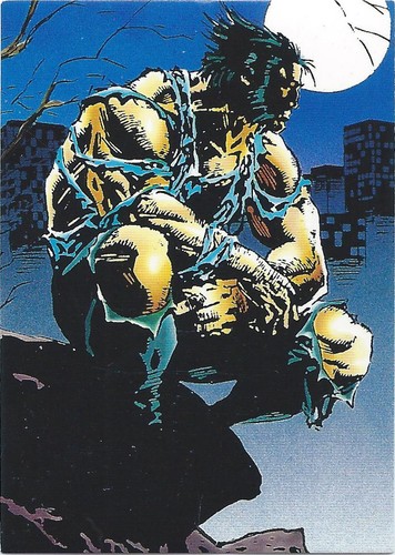 1992 Comicbilder Marvel Wolverine Sie wählen die Basiskarte, beenden Sie Ihr Set - Bild 2 von 91