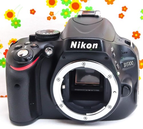 Nikon D5100 DSLR Camera Kit 16.2MP WiFi Compatible for Smartphone Use Used Japan - Picture 4 of 8