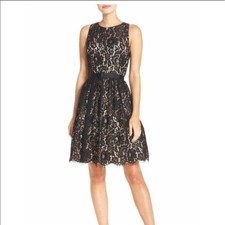 Eliza J Lace Fit and Flare Dress Women 10P Black Floral Cutout Back Belted