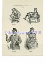 Highly Respectable Family (2), Victorian Humour Book Illustration (Print), c1893