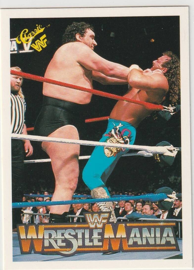 Andre The Giant Jake The Snake Roberts - WrestleMania 5 -1990