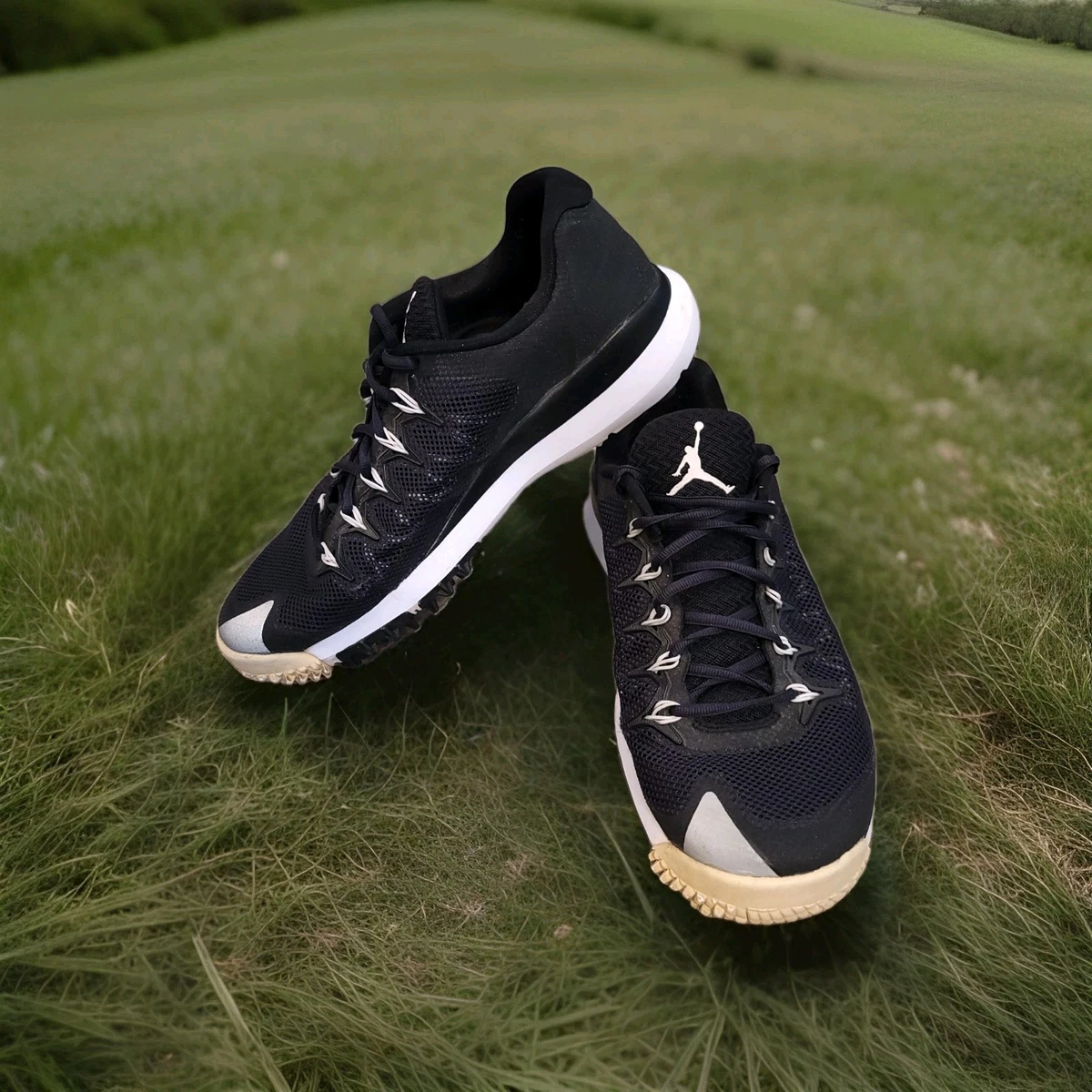 Jordan Flight Runner for Sale | Authenticity Guaranteed | eBay