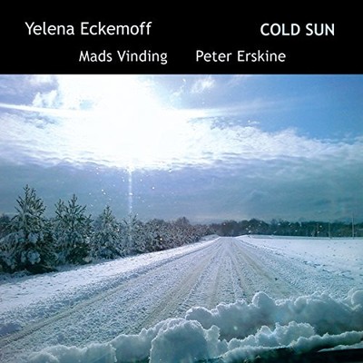 Mads Vinding - Cold Sun - Peter Erskine CD ICVG The Cheap Fast Free Post
